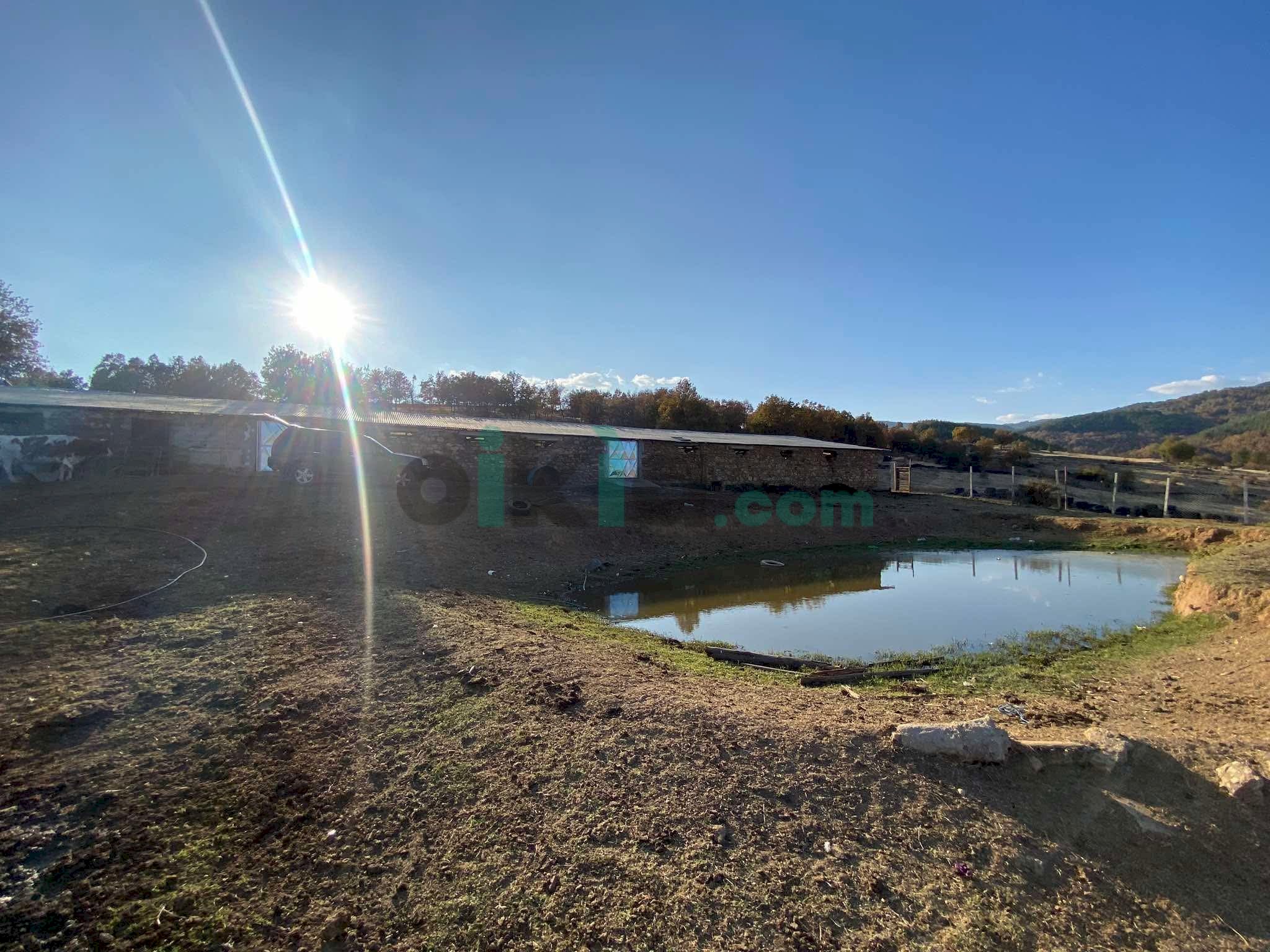 Terreno agricolo Гьоргево, Petrich - foto 1